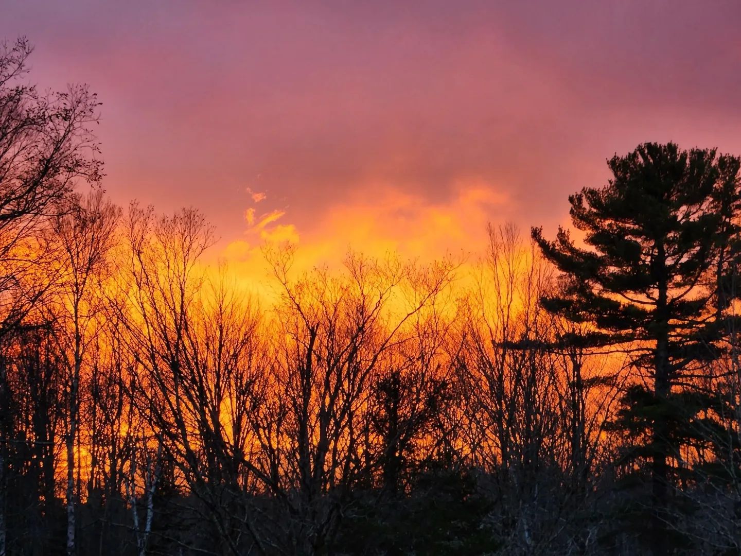 Welcome to Gealach Fola Acres